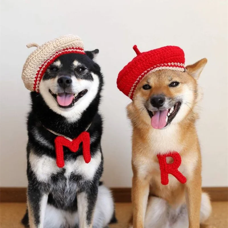 DIY Mini Mixed Color Hand-knitted Beret Cute Pet